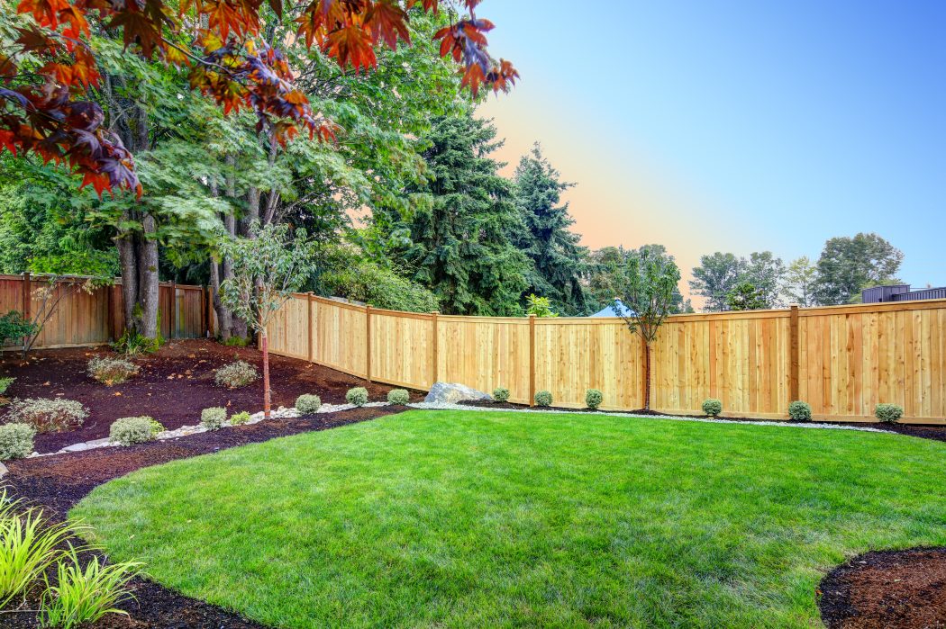 Fenced backyard & planting beds